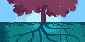 Bootstrapping to Funding: US Startup Strategies for Investment - Cover Image