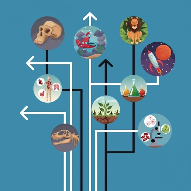 A detailed infographic showing the flow of government grants to small businesses and research institutions, with arrows indicating non-dilutive capital and innovation outcomes.