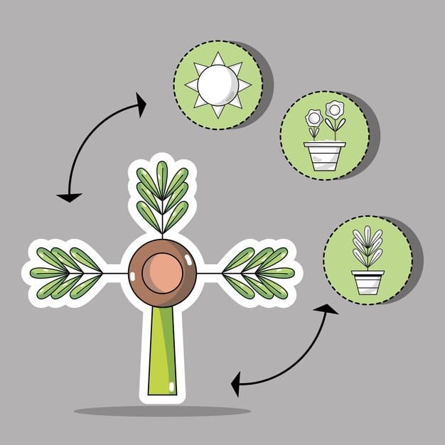 A diagram clearly differentiating the key aspects of Seed Round and Series A funding, with arrows showing progression from one stage to the next for startup growth.